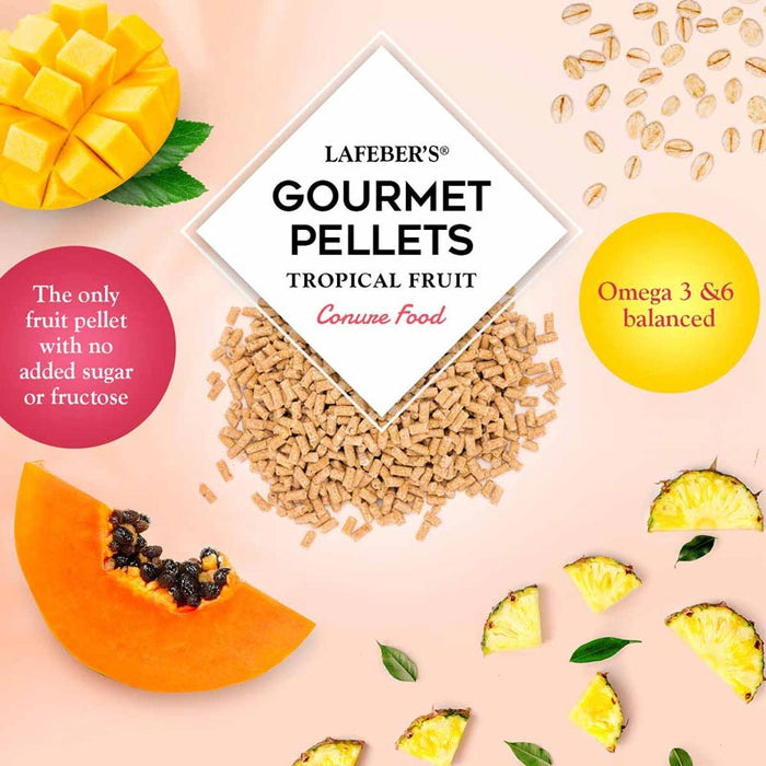 Lafeber Company Tropical Fruit Gourmet Pellets Conure Bird Food 1.25lb