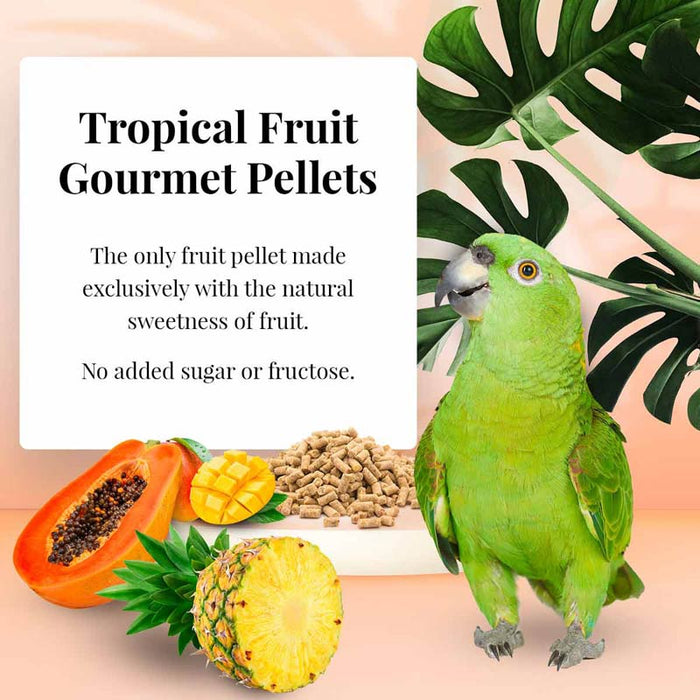 Lafeber Company Tropical Fruit Gourmet Pellets Parrot Bird Food 1.25lb