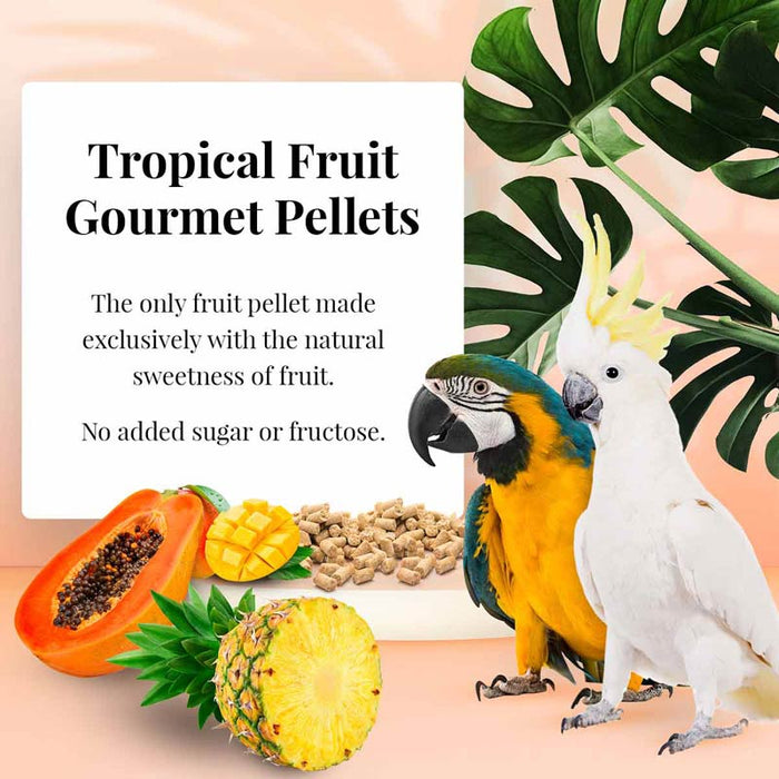 Lafeber Company Tropical Fruit Gourmet Pellets Macaw Bird Food 1.25lb