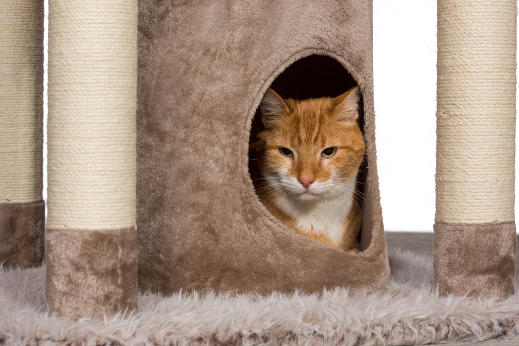 Prevue Pet Products Kitty Power Paws Siberian Mountain Cat Tree