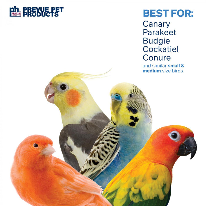 Prevue Pet Products Bodacious Bites Abacus Bird Toy, Multi-colored