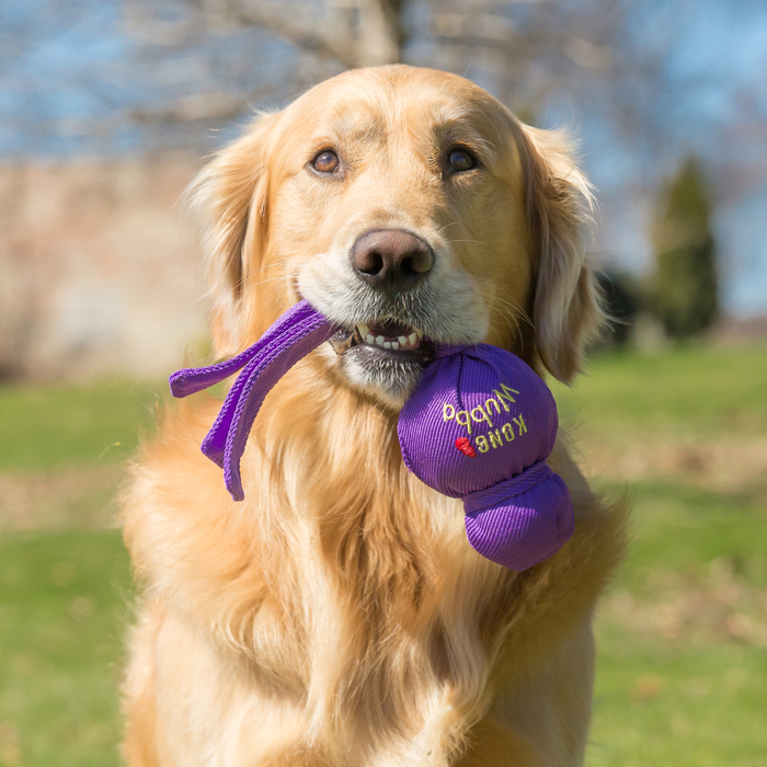 KONG Wubba Dog Toy Assorted LG - 5 - Image 7