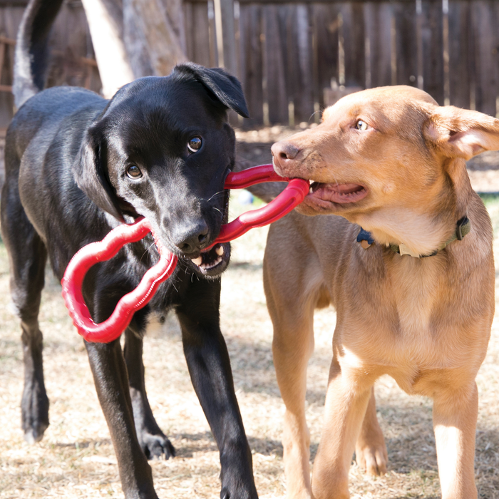 KONG Tug Toy With Control-Flex Dog Toy Red SM - 4 - Image 10