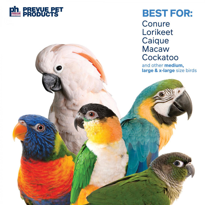Prevue Pet Products Bodacious Bites Wizard Bird Toy, Multi-Colored