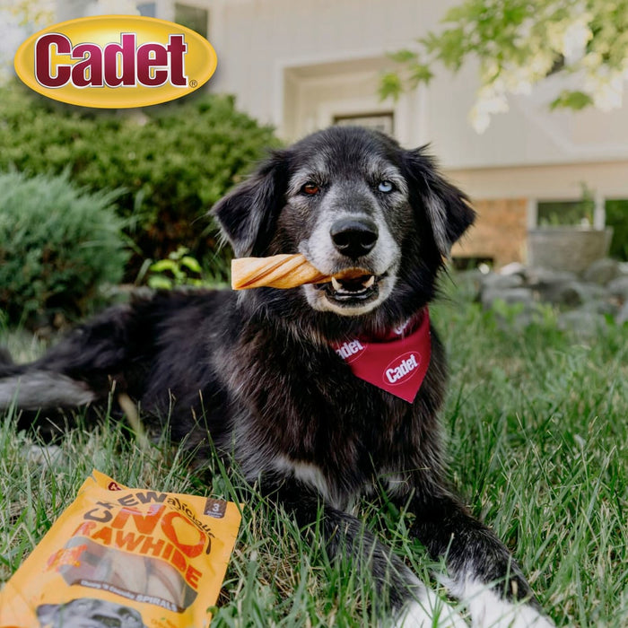 Cadet Chewalicious Chewy 'N Crunchy Rawhide-Free Natural Spirals Chicken (3 Count)