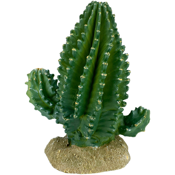 Komodo Cactus Plant Columnar 5.9in