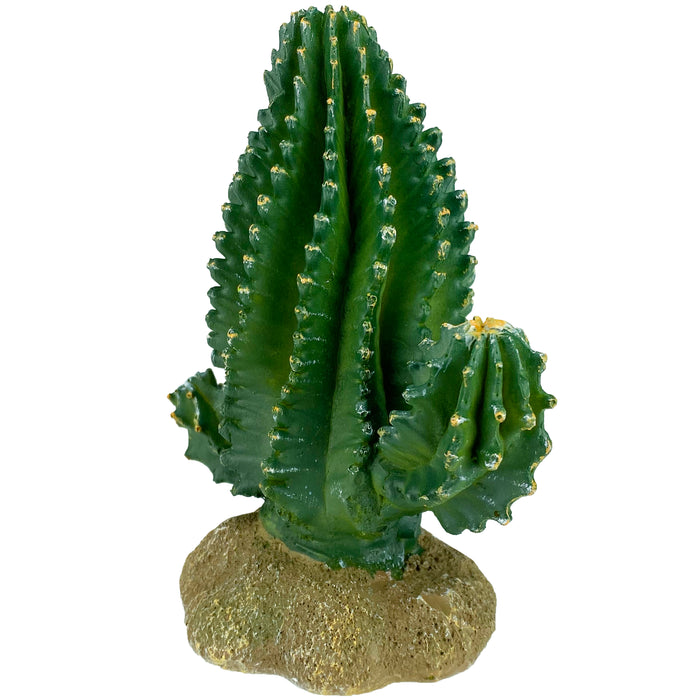 Komodo Cactus Plant Columnar 5.9in
