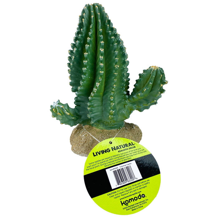 Komodo Cactus Plant Columnar 5.9in