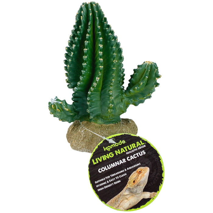 Komodo Cactus Plant Columnar 5.9in