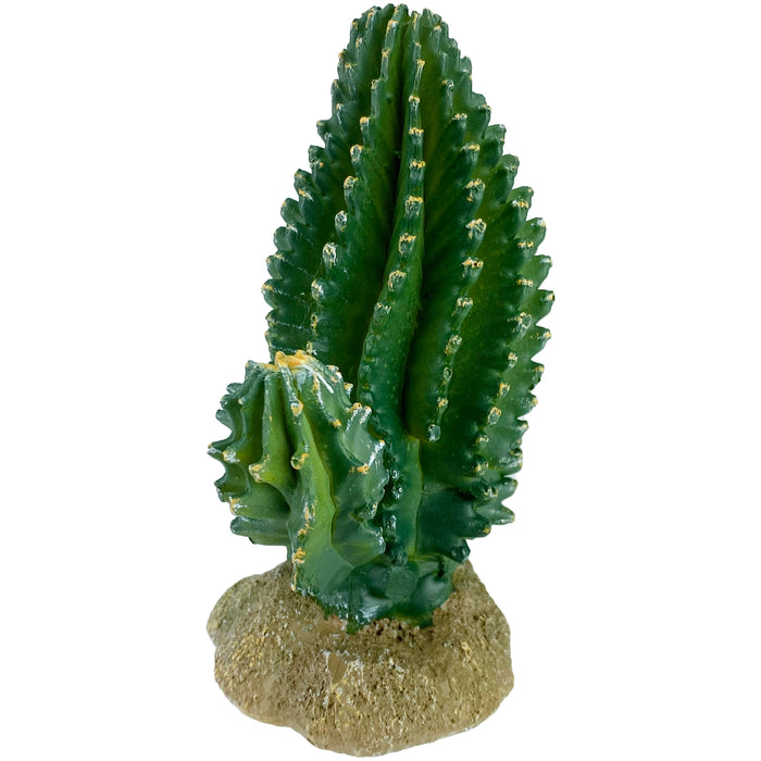 Komodo Cactus Plant Columnar 5.9in