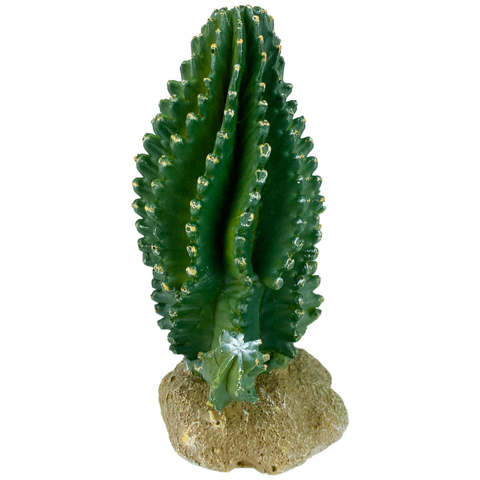 Komodo Cactus Plant Columnar 5.9in