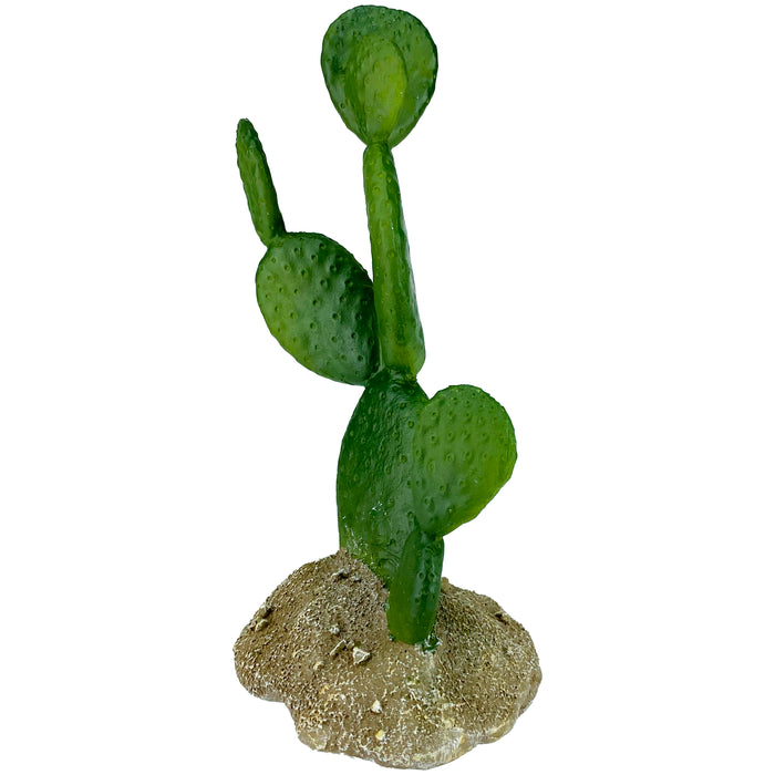 Komodo Cactus Plant Prickly Pear 6.3in