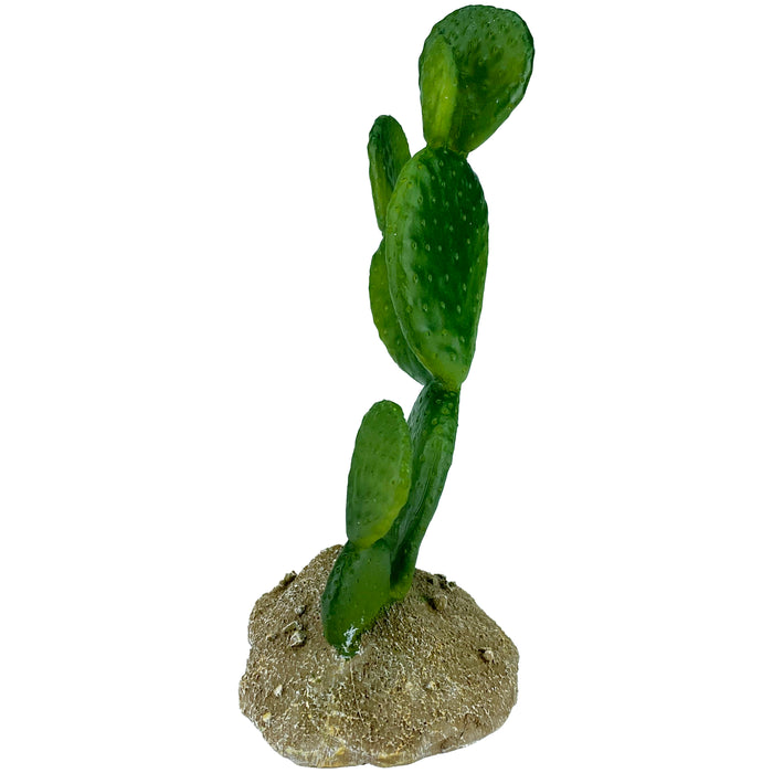 Komodo Cactus Plant Prickly Pear 6.3in