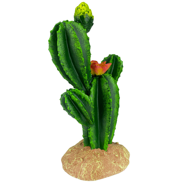 Komodo Cactus Plant Flower 9in
