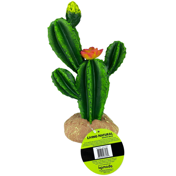Komodo Cactus Plant Flower 9in