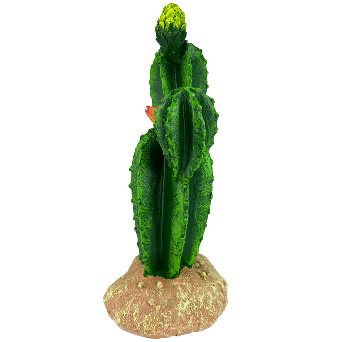 Komodo Cactus Plant Flower 9in