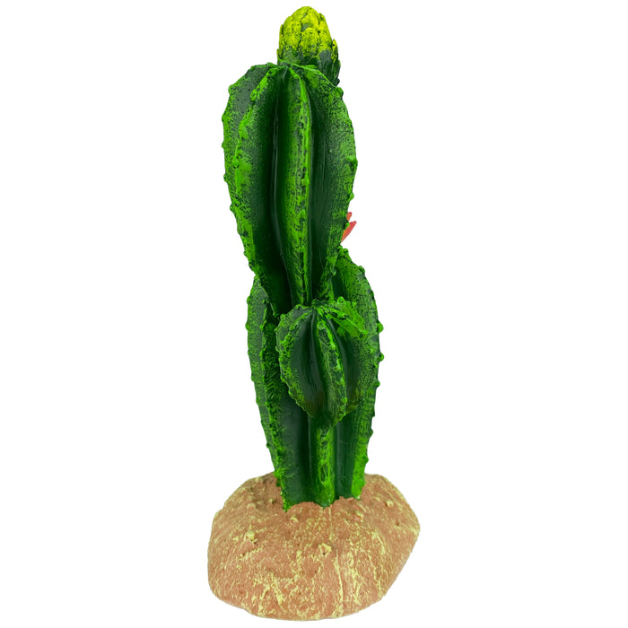 Komodo Cactus Plant Flower 9in