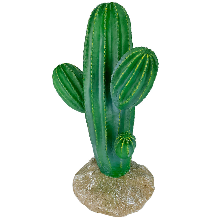 Komodo Cactus Plant Saguaro 9.5in