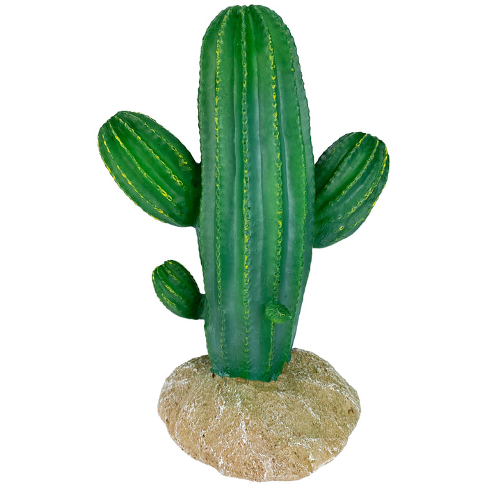 Komodo Cactus Plant Saguaro 9.5in