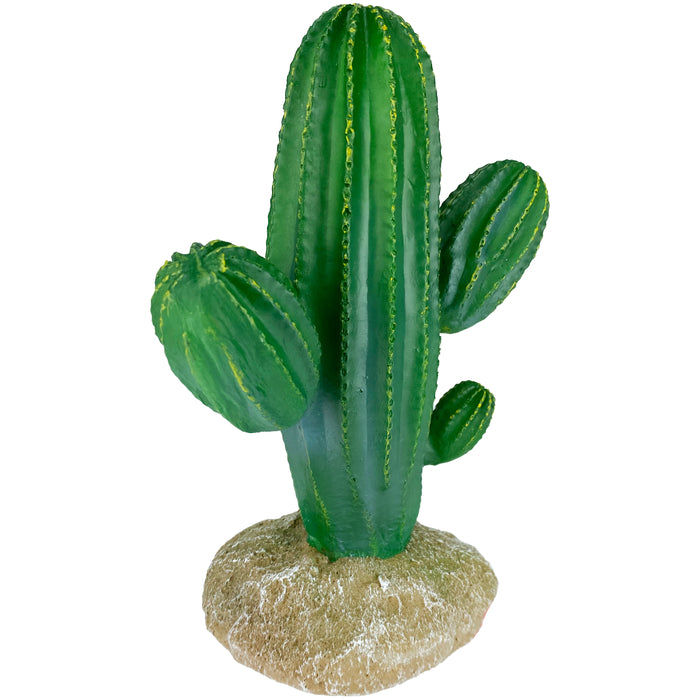 Komodo Cactus Plant Saguaro 9.5in