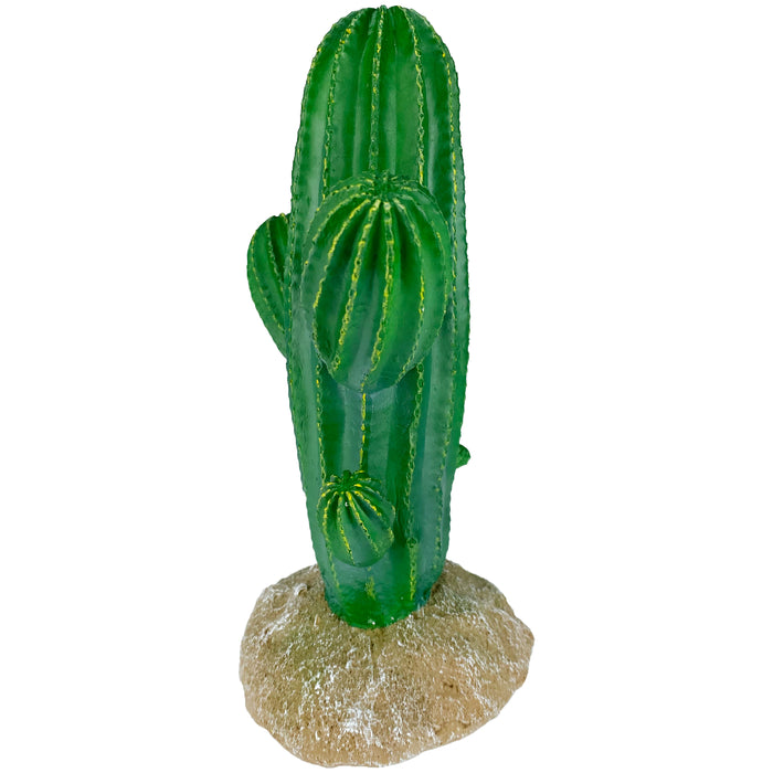 Komodo Cactus Plant Saguaro 9.5in