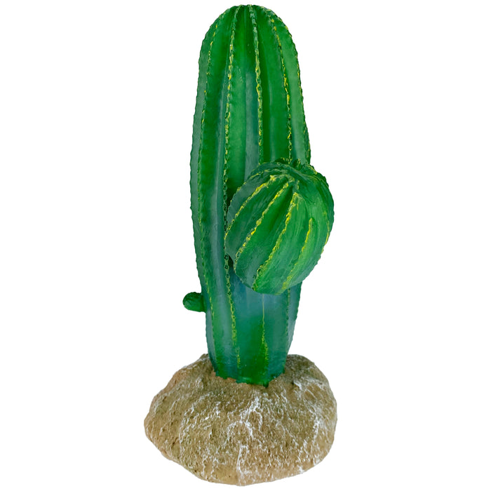 Komodo Cactus Plant Saguaro 9.5in