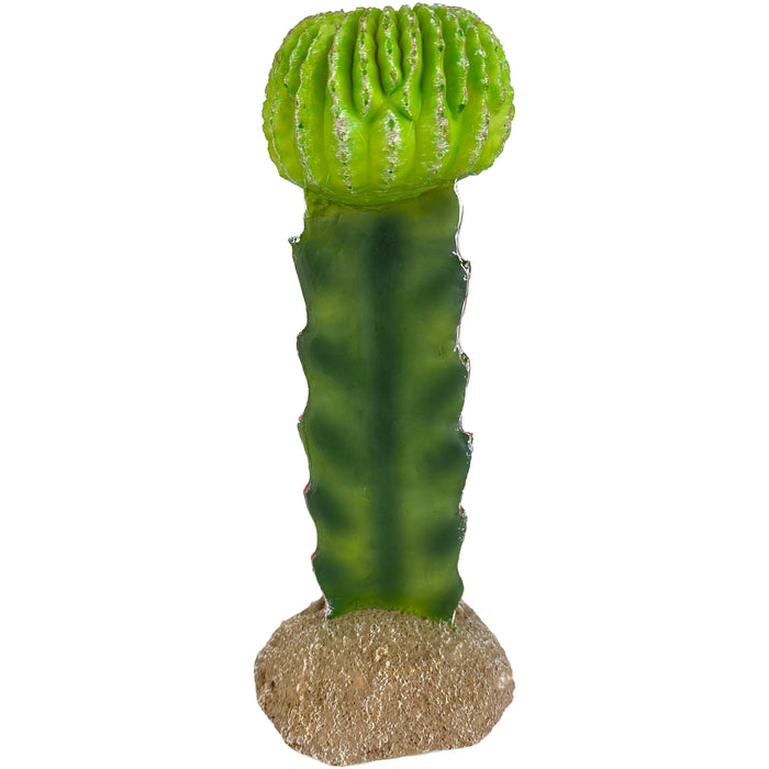 Komodo Cactus Plant Moon 7.5in