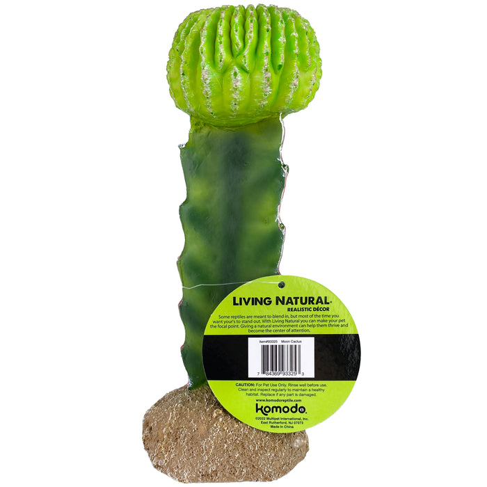 Komodo Cactus Plant Moon 7.5in