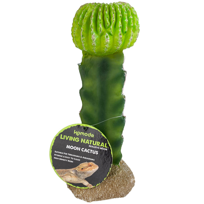Komodo Cactus Plant Moon 7.5in