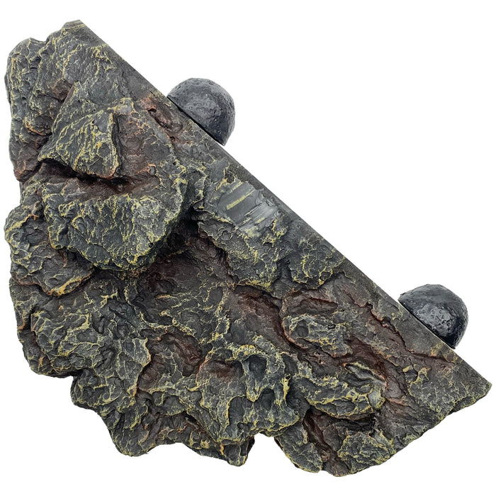 Komodo Magnetic Gecko Ledge 10in X 7in