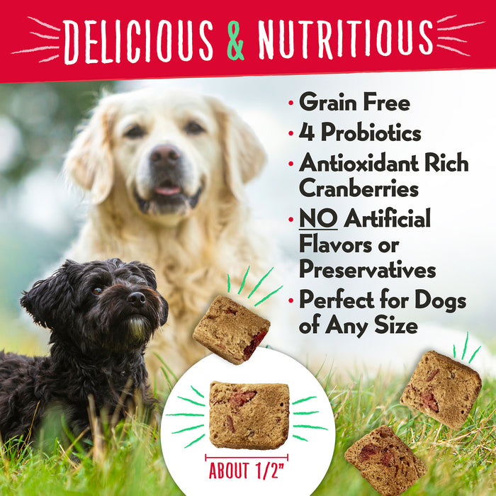 Charlee Bear Meaty Bites Dog Treats Chicken with Cranberries 2.25oz