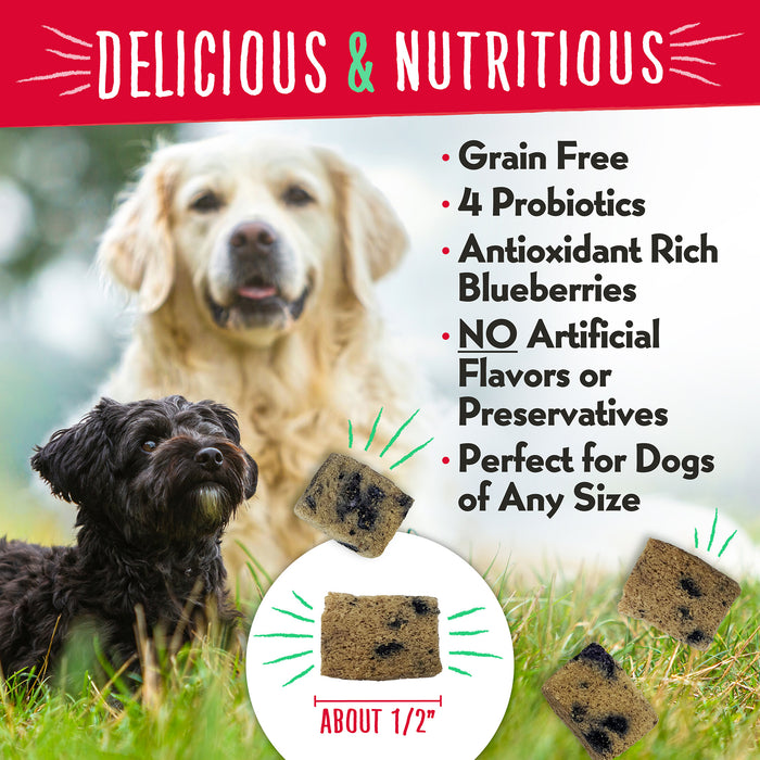 Charlee Bear Meaty Bites Dog Treats Chicken with Blueberries 2.25oz