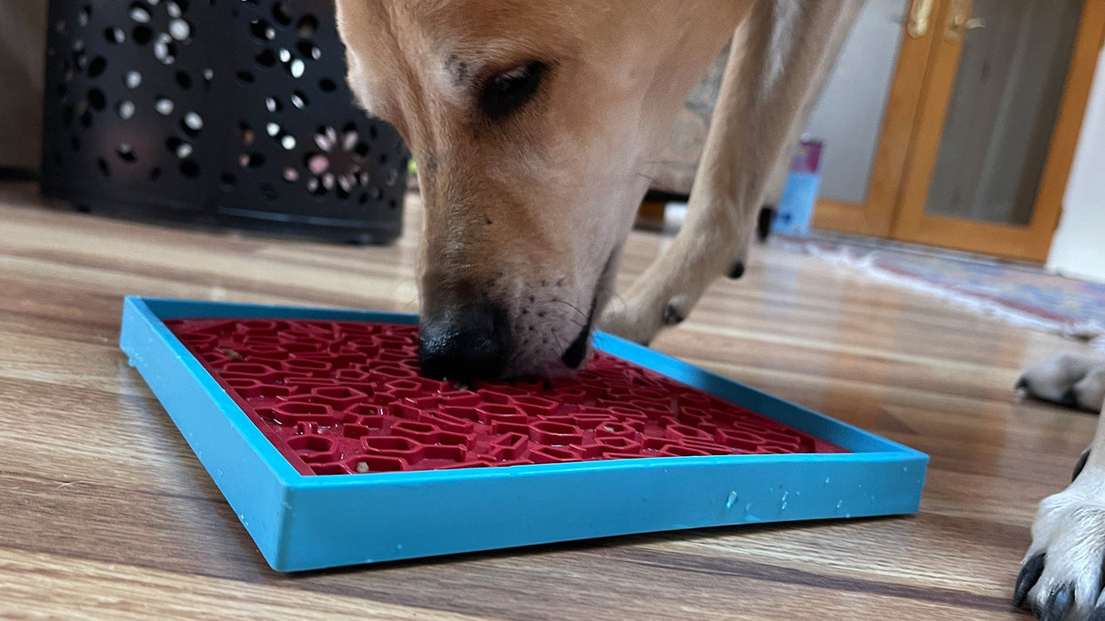 SodaPup Vino Design eMat Enrichment Lick Mat