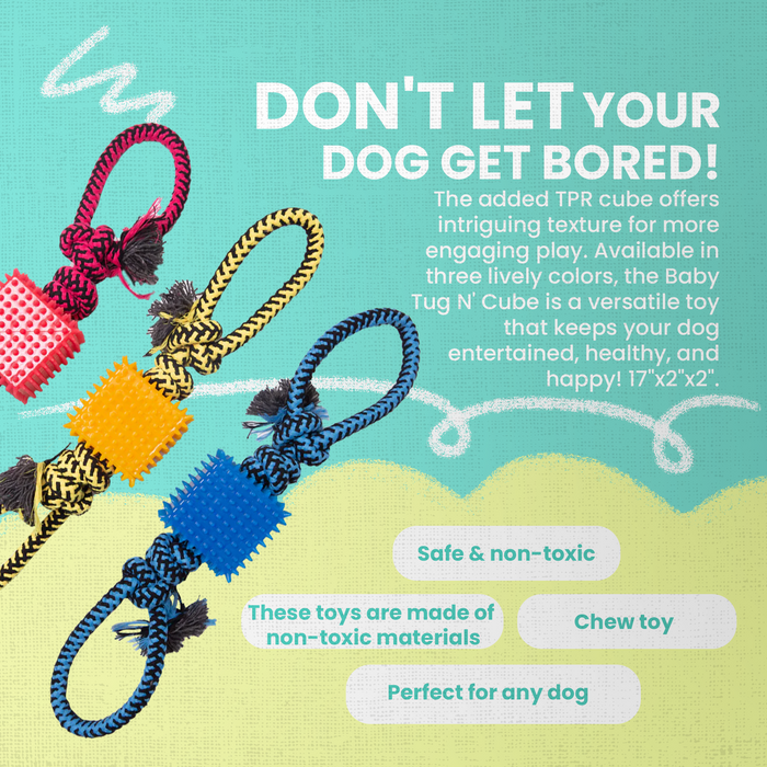 SnugArooz Baby Tug N Cube Rope Dog Toy (Assorted Colors) 16"