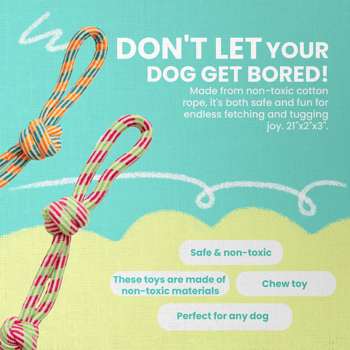SnugArooz Fling 'N Floss Rope Dog Toy