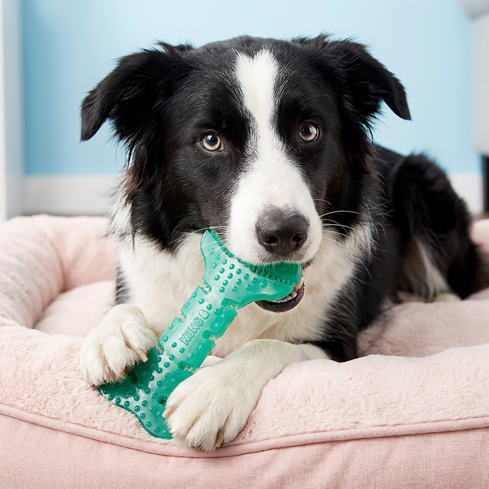 KONG Dental Squeezz Bone Dog Chew Teal MD - 3 - Image 6
