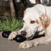 KONG Extreme Goodie Bone Dog Toy LG - 3 - Image 10