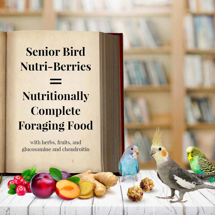 Lafeber Company Senior Bird Nutri-Berries Parakeet & Cockatiel Food 10oz