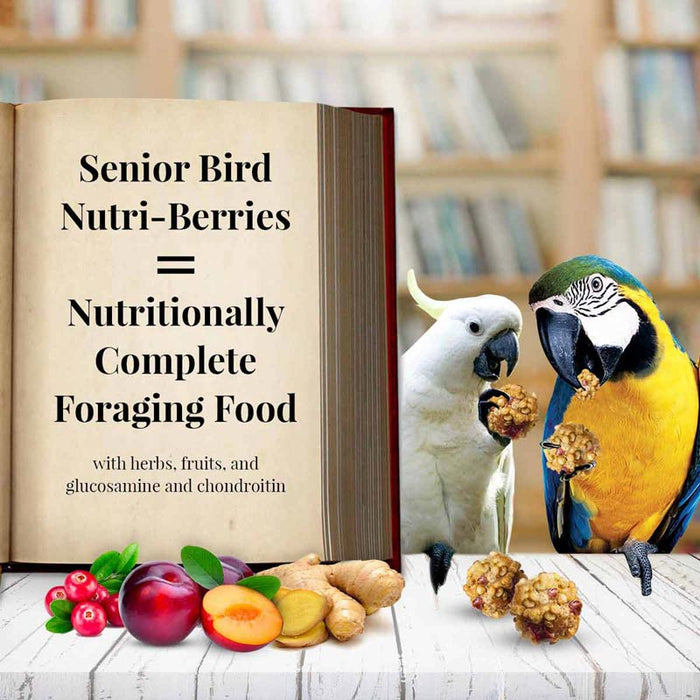 Lafeber Company Senior Bird Nutri-Berries Macaw & Cockatoo Food 10oz