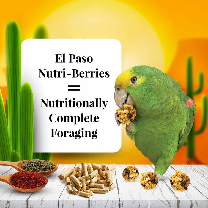 Lafeber Company El Paso Nutri-Berries Parrot Food 3lb