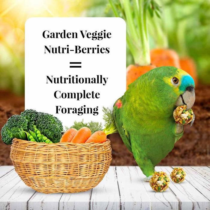 Lafeber Company Garden Veggie Nutri-Berries Parrot Food 10oz