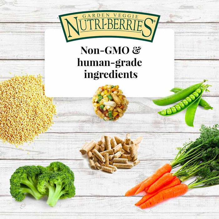 Lafeber Company Garden Veggie Nutri-Berries Parrot Food 3lb