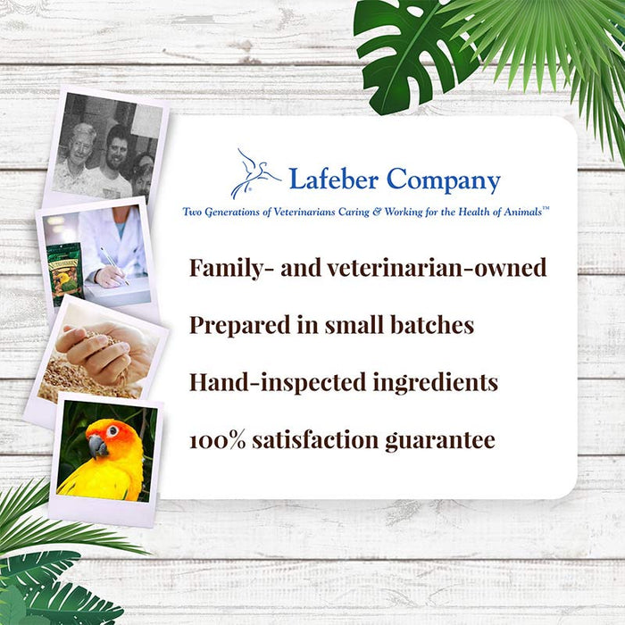 Lafeber Company Tropical Fruit Nutri-Berries Conure Bird Food 10oz