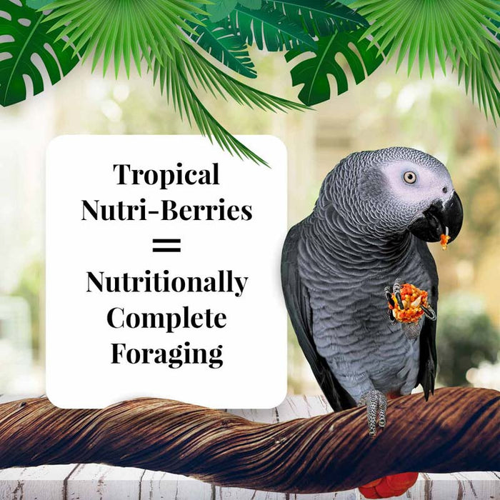 Lafeber Company Tropical Fruit Nutri-Berries Parrot Food 10oz