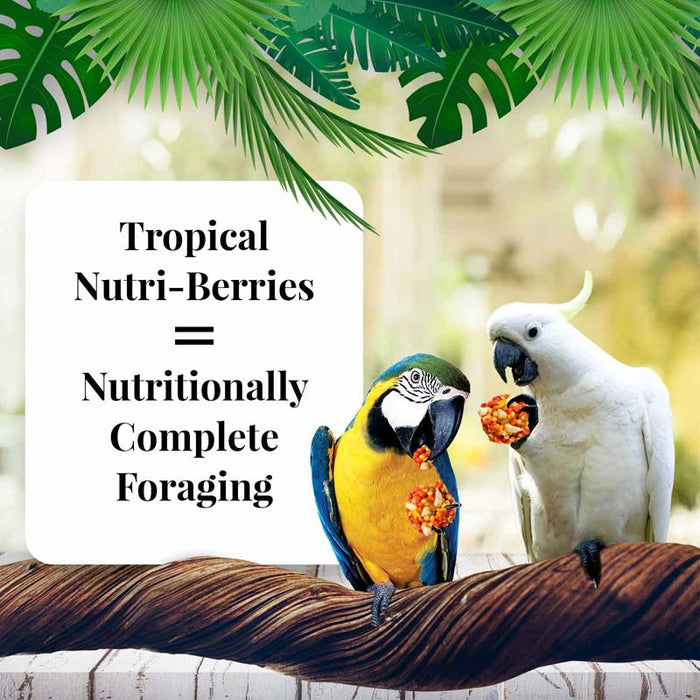 Lafeber Company Tropical Fruit Nutri-Berries Macaws & Cockatoos Food 3lb
