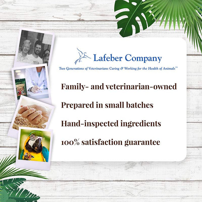 Lafeber Company Tropical Fruit Nutri-Berries Macaws & Cockatoos Food 3lb