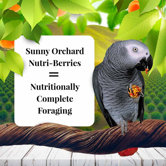 Lafeber Company Sunny Orchard Nutri-Berries Parrot Food 10oz