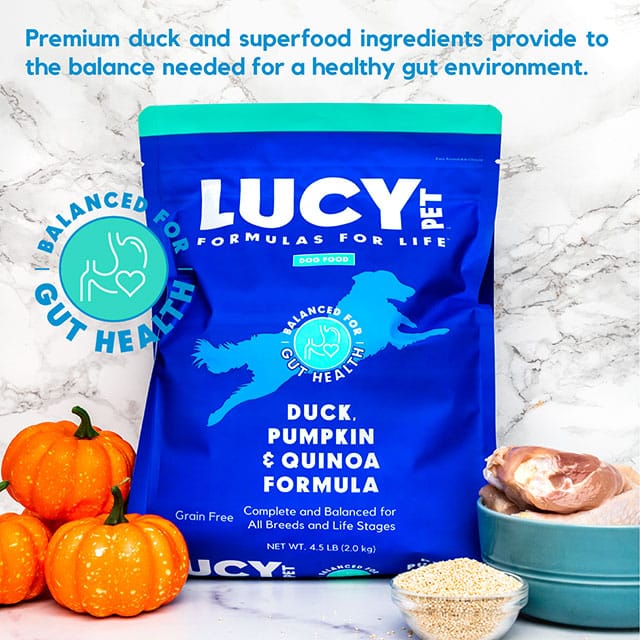 Lucy Pet Products Formula for Life L.I.D. Dry Dog Food Duck, Pumpkin & Quinoa 12lb
