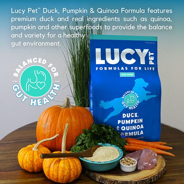 Lucy Pet Products Formula for Life L.I.D. Dry Dog Food Duck, Pumpkin & Quinoa 12lb