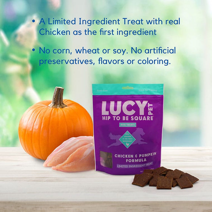 Lucy Pet Products Hip to Be Square Limited Ingredient Dog Treats Chicken & Pumpkin 6 oz